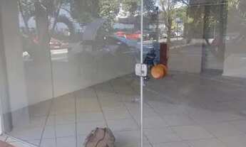 Imagem: Flat para aluguel tem 34 metros quadrados