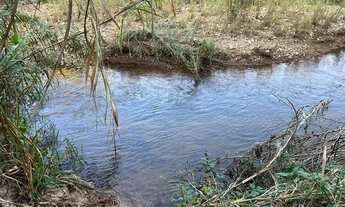Imagem 2: Terrenos 2500M2, Vendo Urgente - Parcelo Direto , Condomínio. 1IMB184