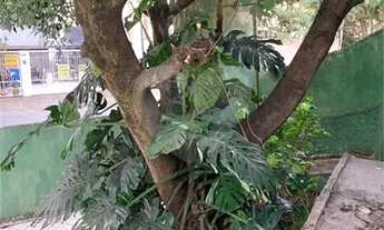 Imagem 7: São Paulo - Apartamento Padrão - VILA MARIANA