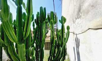 Imagem 3: CASA À VENDA NA VILA IPOJUCA