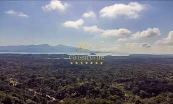 Imagem 2: Alexandra (Paranaguá), chácara 29 hectares, de frente asfalto