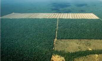 Imagem: 3400 hectares - Fazenda em Paranatinga Mato