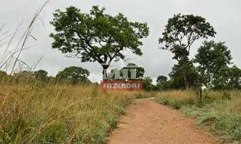 Imagem 5: Fazenda 131,7 alqueires (637,4 hectares) São Luiz do Norte - Go
