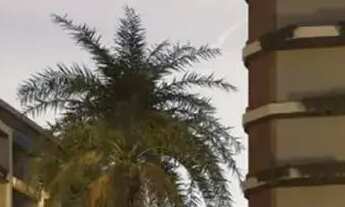 Imagem 3: FLAT EM MARAGOGI A BEIRA MAR | STUIDO, 1 E 2 QUARTOS | FLUXO FACILITADO