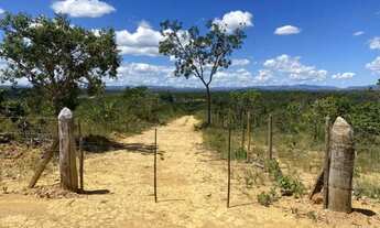 Imagem 3: Fazendinha 2 ha, plano, 100% formado em baquearia, todo terra de cultivo,Jaboticatubas