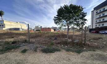 Imagem 4: Lote à venda em Vila Brasília com 293,75m²