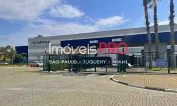 Imagem 13: Galpão logístico de 8.888 m², com pé direito de 12,4 metros e extremamente bem localizado