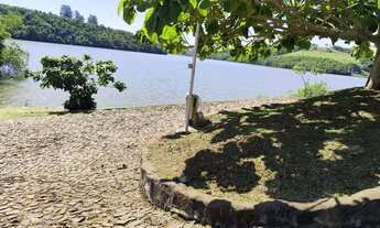Imagem 6: Vendo lote no alagado em Três Barras do Paraná