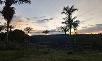 Imagem 6: Vendo sítio 600.000