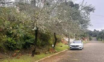 Imagem 2: Terreno - Bairro Vale das Colinas