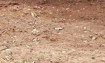 Imagem: SÓ ESSA SEMANA NÃO PERCA A OPORTUNIDADE!