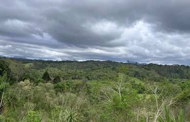 Imagem 3: Chácaras em Campina Grande do Sul