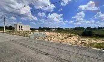 Imagem 2: Terreno à venda, 3772 m² por R$ 490.000,00 - Loteamento Bosque Merhy - Quatro Barras/PR