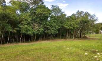Imagem 5: Terreno/Sítio Rolante-RS 6.591,00 m²