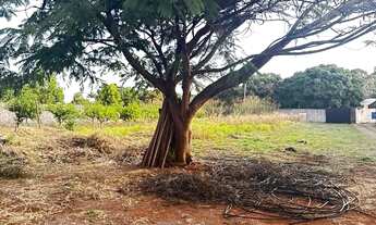 Imagem 4: GALINHA MORTA LOTE DE 3.300 M² COM CASA SIMPLES DE 3 QUARTOS