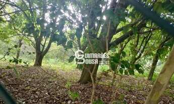 Imagem 3: TERRENO À VENDA NO MIRANTE DAS ESTRELAS EM VINHEDO SP