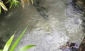 Imagem 2: Fazenda Agropecuária com 2500 ha em Nova Lacerda - MT
