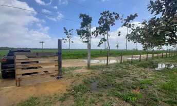 Imagem 6: FAZENDA RESIDENCIAL em BENEVIDES - PA, Estrada Pau dArco Comunidade Nelson Mandela - Ben