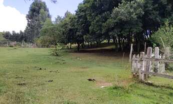 Imagem 3: Chácara ,bela vista