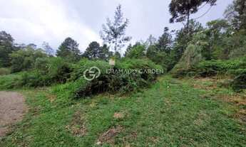 Imagem 4: SITIO NOVA PETROPOLIS