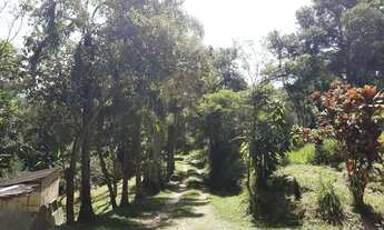 Imagem 5: Sítio em Rua Masaru Seki - Volta Fria - Mogi das Cruzes/SP