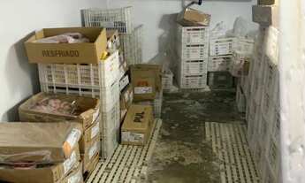 Imagem 6: Açougue Completo e em Funcionamento na Zona Leste