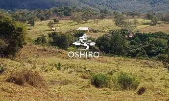 Imagem 7: FAZ. EM CAMPINORTE - GO - MARC. - CÓD. 13128