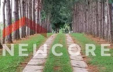 Imagem 5: Sítio em Rua Silva Jardim - Centro - Itapetininga/SP