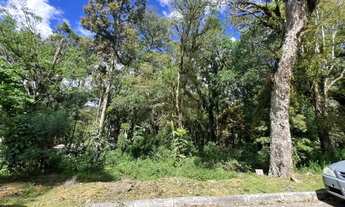 Imagem: Terreno em Condomínio - Bairro Pinheiro