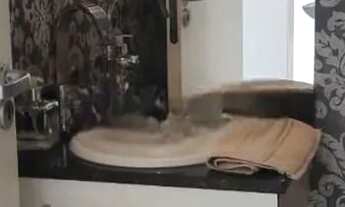 Imagem 4: Casa em Condomínio 3 dormitórios à venda Mário Quintana Porto Alegre/RS