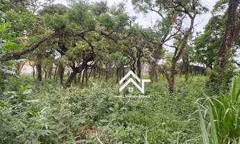 Imagem 3: Terreno Excelente Localização