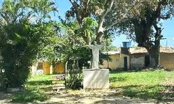 Imagem 5: Chácara em Itaporanga, povoado araticum