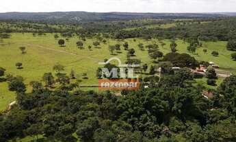 Imagem 6: Fazenda 310 alqueires (1.500,4 hectares) Catalão - GO