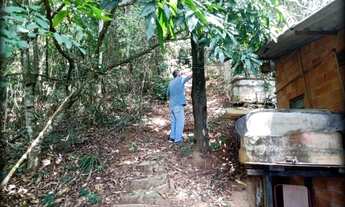 Imagem 5: CHÁCARA PÉ NA ÁGUA