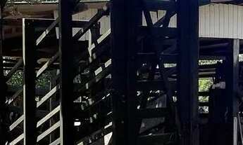 Imagem 3: VENDE-SE OU TROCA-SE SÍTIO EM SIBALDE - JAPARATUBA/SE