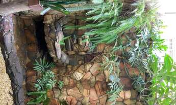 Imagem 5: Locação com tudo incluso de quartos