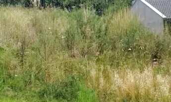 Imagem: CAXIAS DO SUL - Terreno Padrão - MONTE