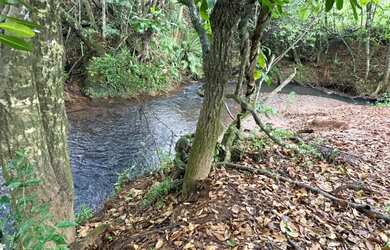 Imagem 4: Terreno rural com muita água