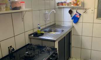 Imagem 7: Mata atlântica 2