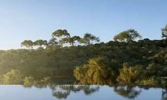 Imagem 6: Apartamento Garden à Venda, Alto Padrão, Canto da Lagoa, Florianópolis/SC