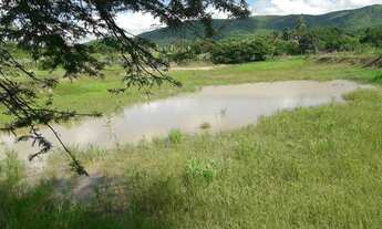 Imagem 3: Vendo Fazenda Com 60 Tarefa em Crato