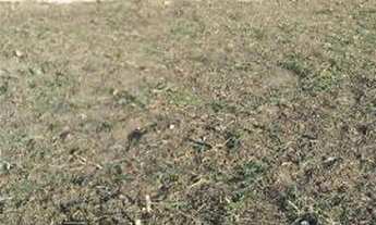 Imagem 4: Posse em amargosa Ba