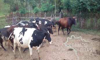 Imagem 6: Linda Fazenda de 50 alqueires!!! Aceita permuta em parte do valor!