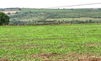 Imagem 2: Sítio para plantação ou gado