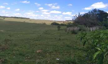 Imagem 7: Campo 125ha para Pecuária em Capivari RS