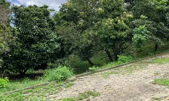 Imagem 5: Ótimo e grande terreno no bairro da Glória (Antiga Juteira Lustoza