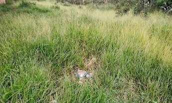 Imagem 5: BETIM - Loteamento/Condomínio - Icaivera