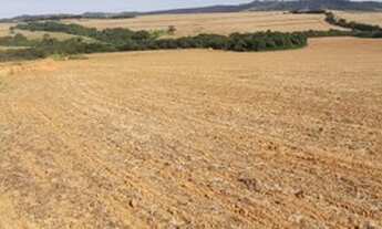 Imagem 5: VENDO FAZENDA 190 ALQUEIRES REGIAO DE IBIA-MG (6101