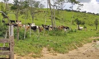 Imagem: Fazenda 137 Hectares Toda Formada, Beira