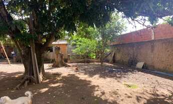 Imagem 3: Ótimo lote na rua da misericórdia - Vicente Pires